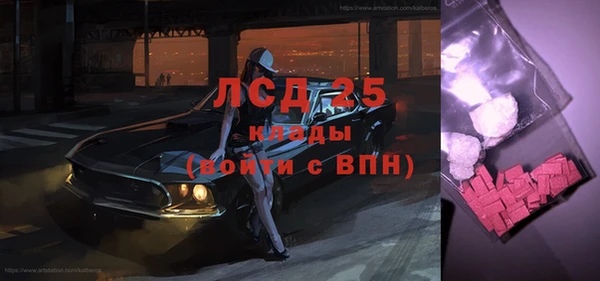 сатива Новокубанск