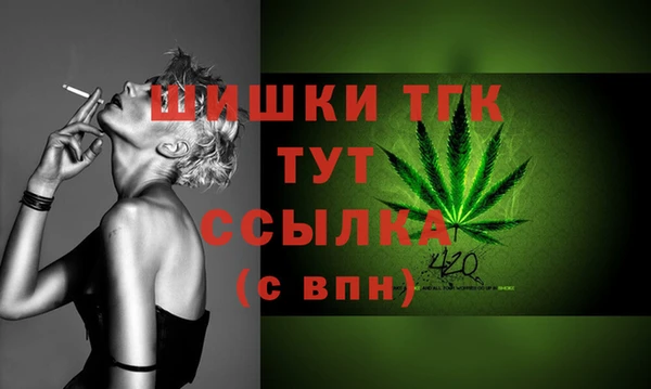 сатива Новокубанск