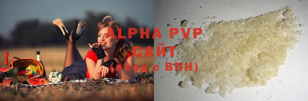 сатива Новокубанск