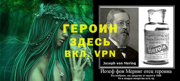 сатива Новокубанск