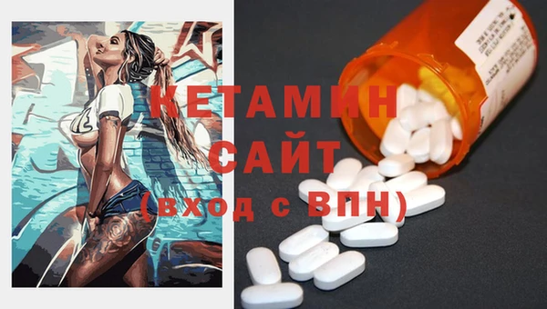 сатива Новокубанск