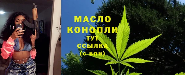 сатива Новокубанск
