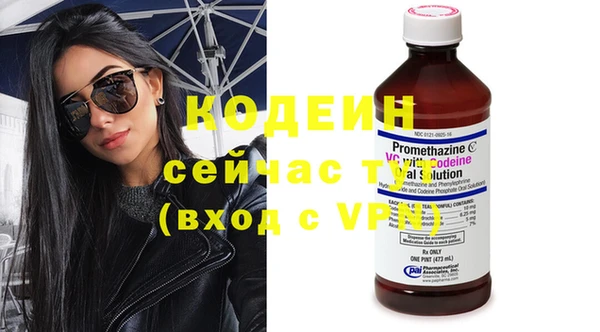 сатива Новокубанск