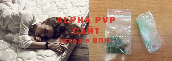 сатива Новокубанск
