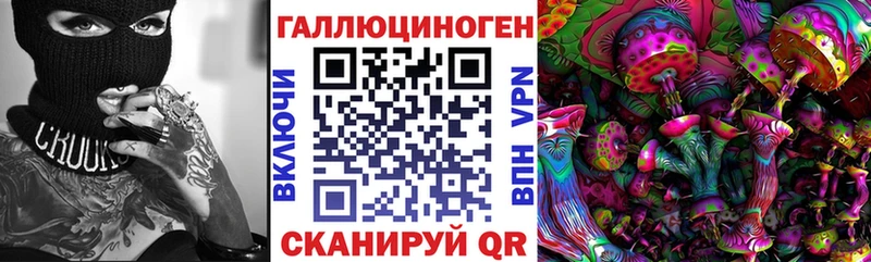 цена наркотик  Касли  Псилоцибиновые грибы Psilocybine cubensis 